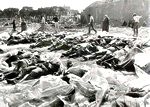 Sabra and Shatilla massacre
